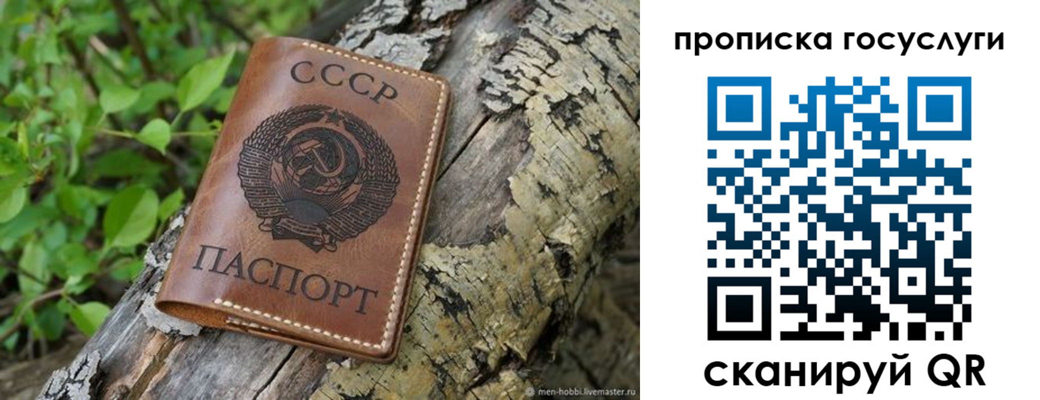 прописка 2025 в Глазове